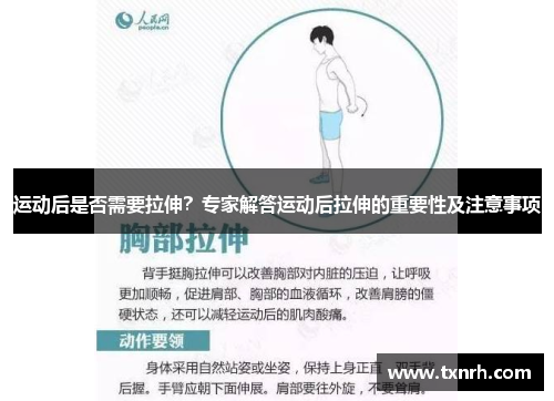 运动后是否需要拉伸？专家解答运动后拉伸的重要性及注意事项