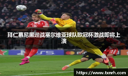 TVT体育官方网址